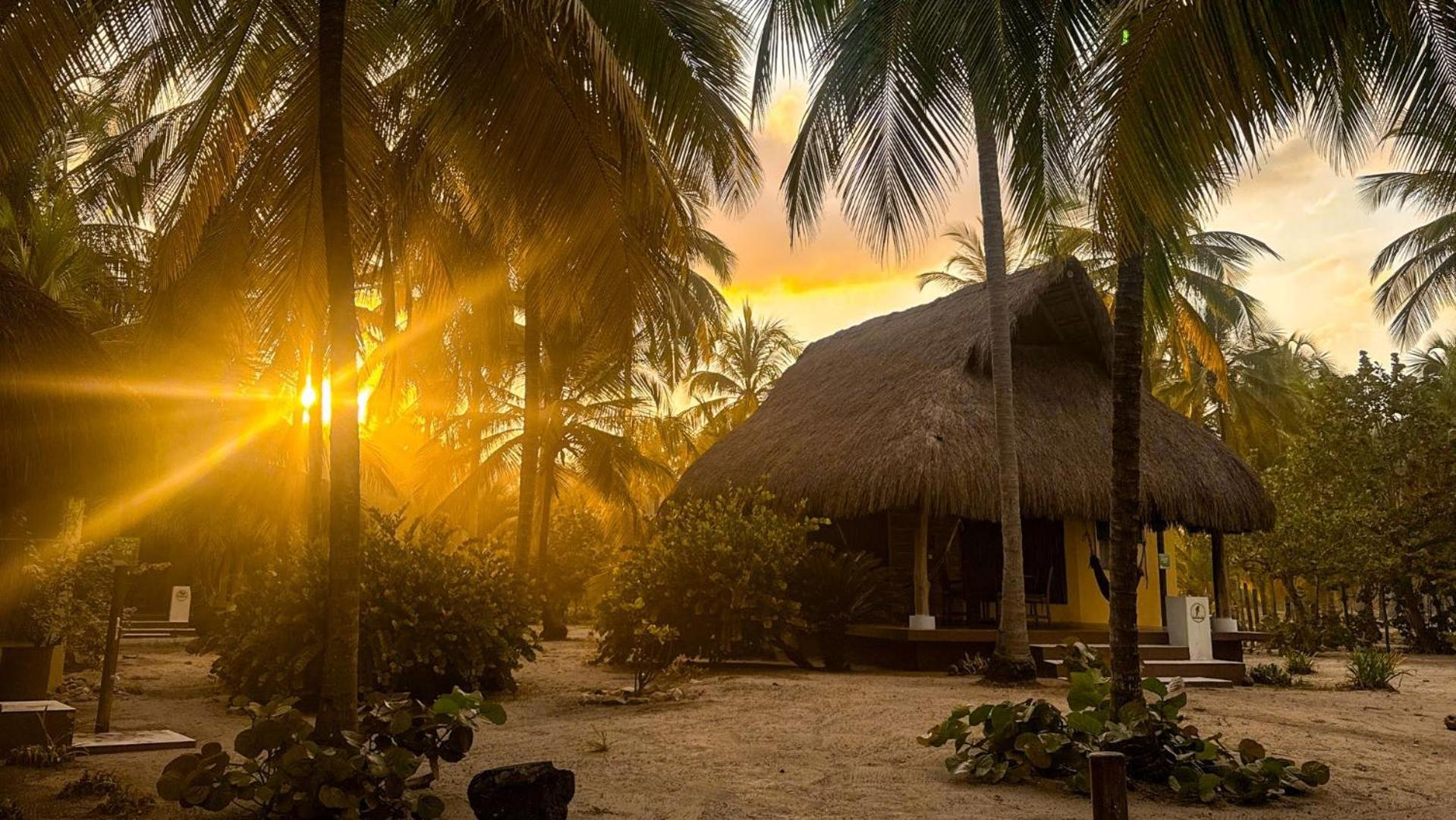 Hotel Aite Eco Palomino